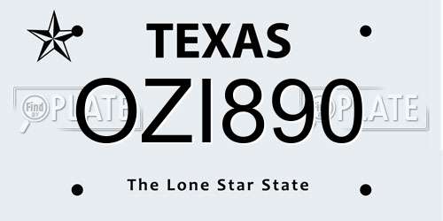 OZI890 Texas License Plate
