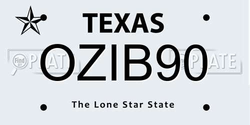 OZIB90 Texas License Plate