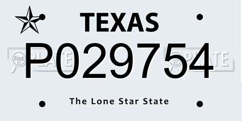 P029754 Texas License Plate