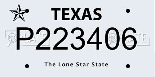 P223406 Texas License Plate
