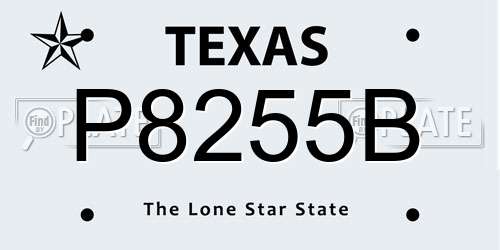P8255B Texas License Plate