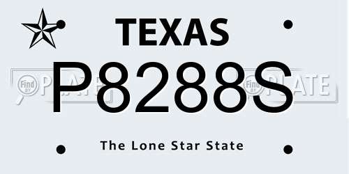 P8288S Texas License Plate