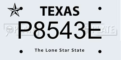 P8543E Texas License Plate