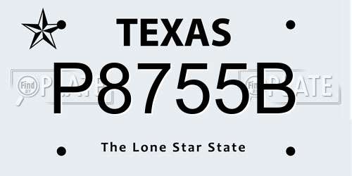 P8755B Texas License Plate