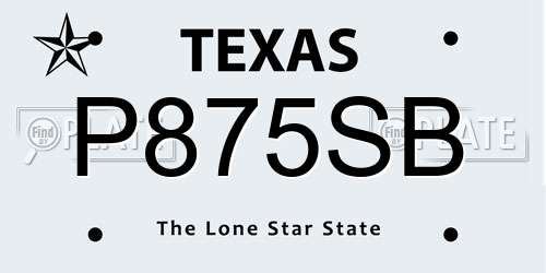 P875SB Texas License Plate