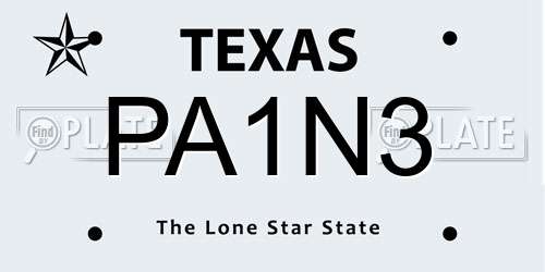 PA1N3 Texas License Plate
