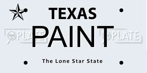 PAINT Texas License Plate