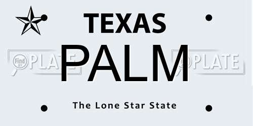 PALM Texas License Plate