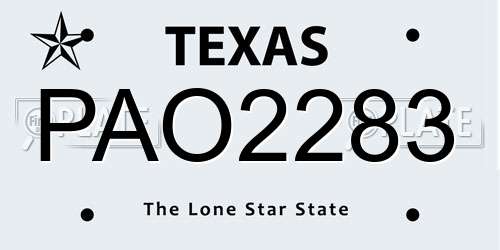 PAO2283 Texas License Plate