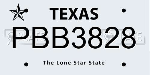 PBB3828 Texas License Plate