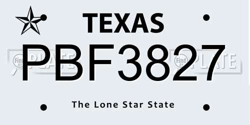 PBF3827 Texas License Plate