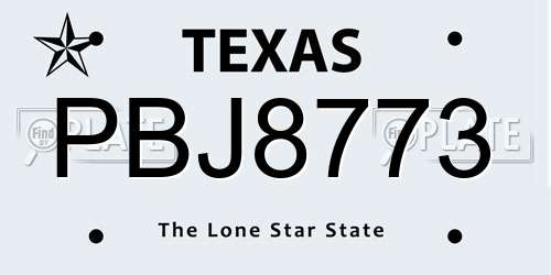 PBJ8773 Texas License Plate