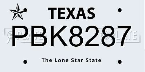 PBK8287 Texas License Plate