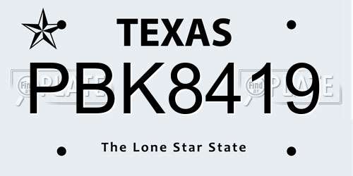 PBK8419 Texas License Plate