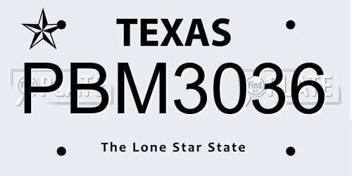 PBM3036 Texas License Plate