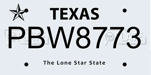 PBW8773 Texas License Plate