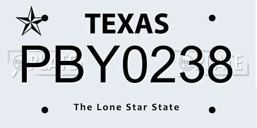 PBY0238 Texas License Plate