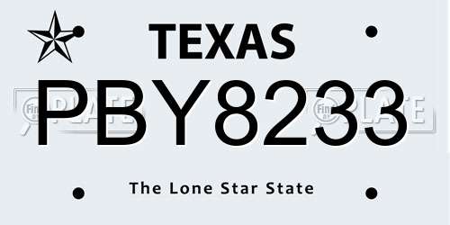 PBY8233 Texas License Plate