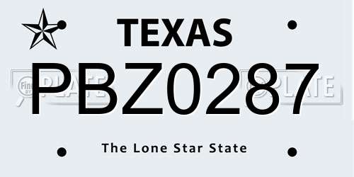 PBZ0287 Texas License Plate
