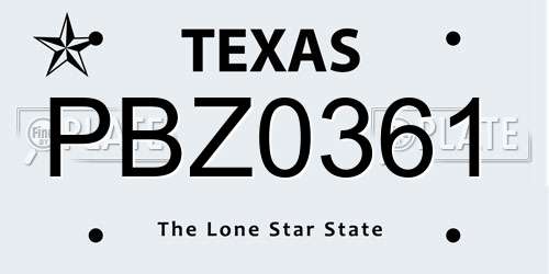 PBZ0361 Texas License Plate