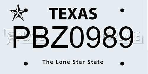 PBZ0989 Texas License Plate