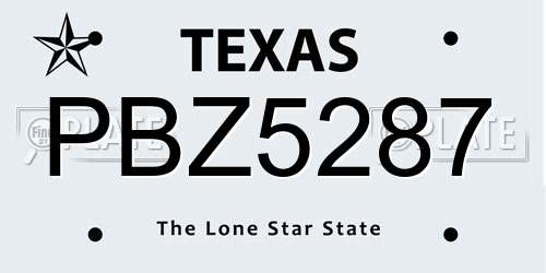 PBZ5287 Texas License Plate