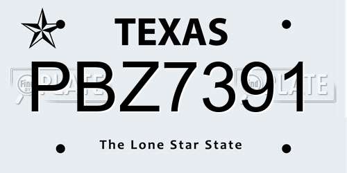 PBZ7391 Texas License Plate
