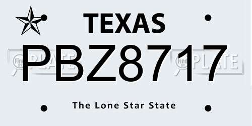 PBZ8717 Texas License Plate
