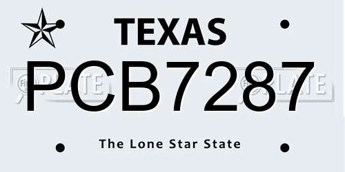 PCB7287 Texas License Plate