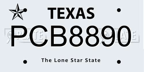 PCB8890 Texas License Plate