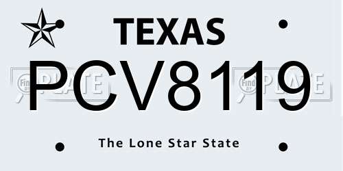 PCV8119 Texas License Plate