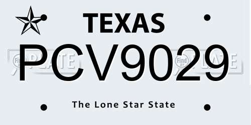 PCV9029 Texas License Plate