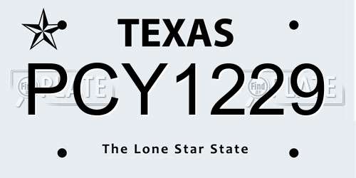PCY1229 Texas License Plate