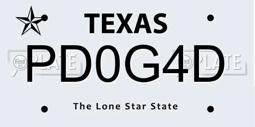 PD0G4D Texas License Plate