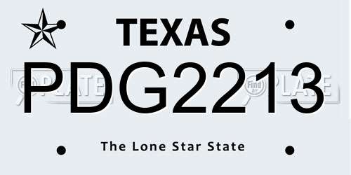 PDG2213 Texas License Plate