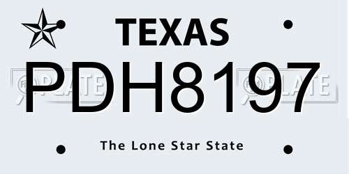 PDH8197 Texas License Plate