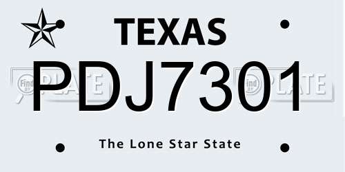 PDJ7301 Texas License Plate