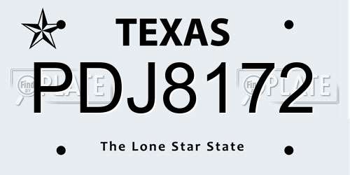 PDJ8172 Texas License Plate