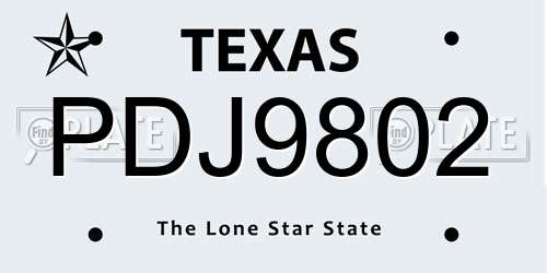 PDJ9802 Texas License Plate