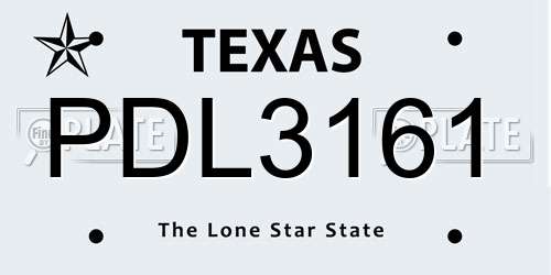 PDL3161 Texas License Plate