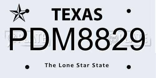 PDM8829 Texas License Plate