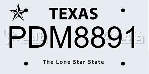 PDM8891 Texas License Plate