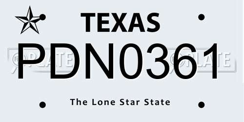 PDN0361 Texas License Plate