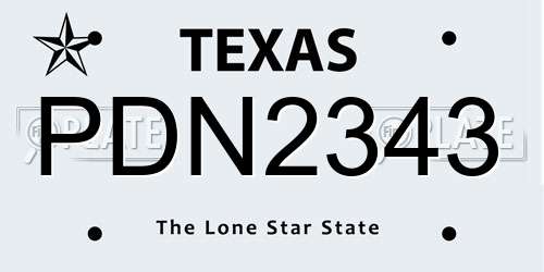 PDN2343 Texas License Plate