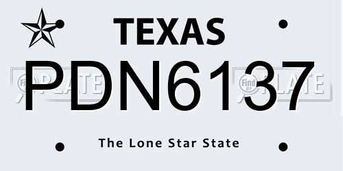 PDN6137 Texas License Plate