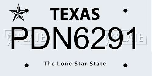 PDN6291 Texas License Plate