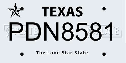 PDN8581 Texas License Plate