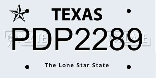 PDP2289 Texas License Plate