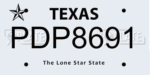 PDP8691 Texas License Plate