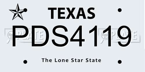 PDS4119 Texas License Plate